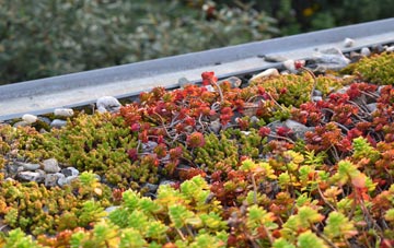 the cost of Breighton green roof installation